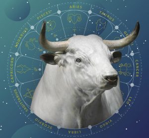 Восточный гороскоп на 2021 год Быка